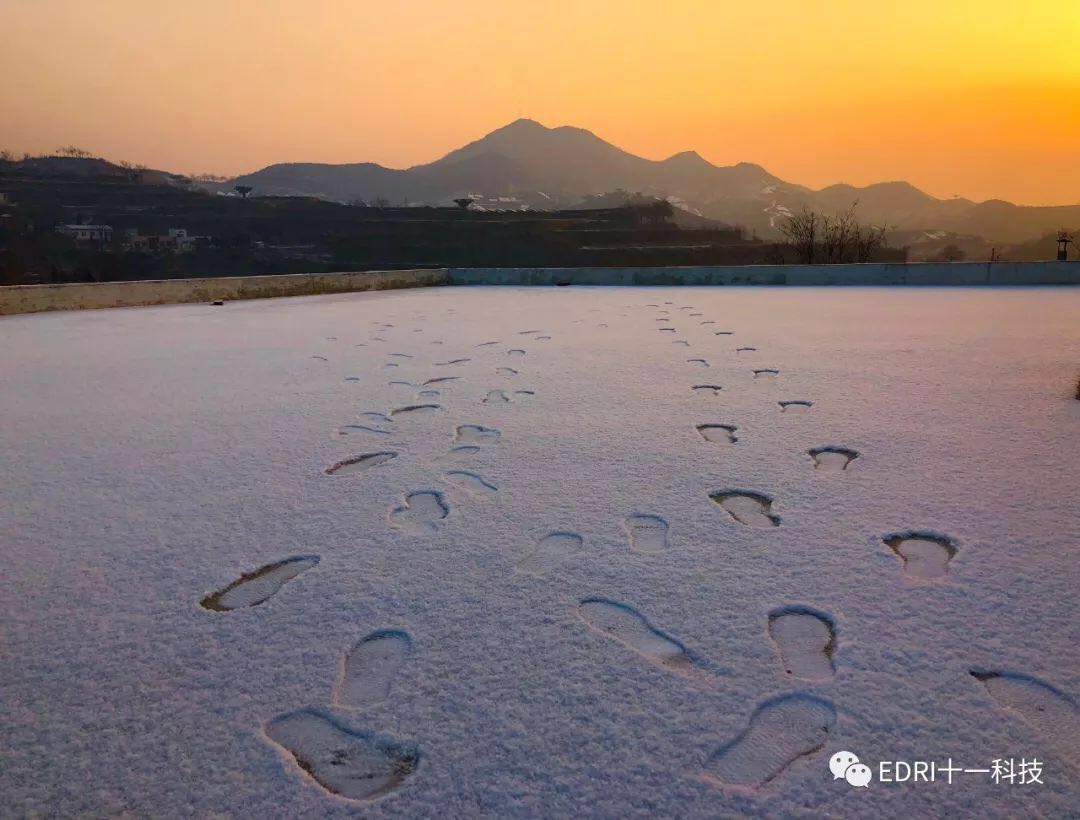 1550195121659449.jpg 7.jpg